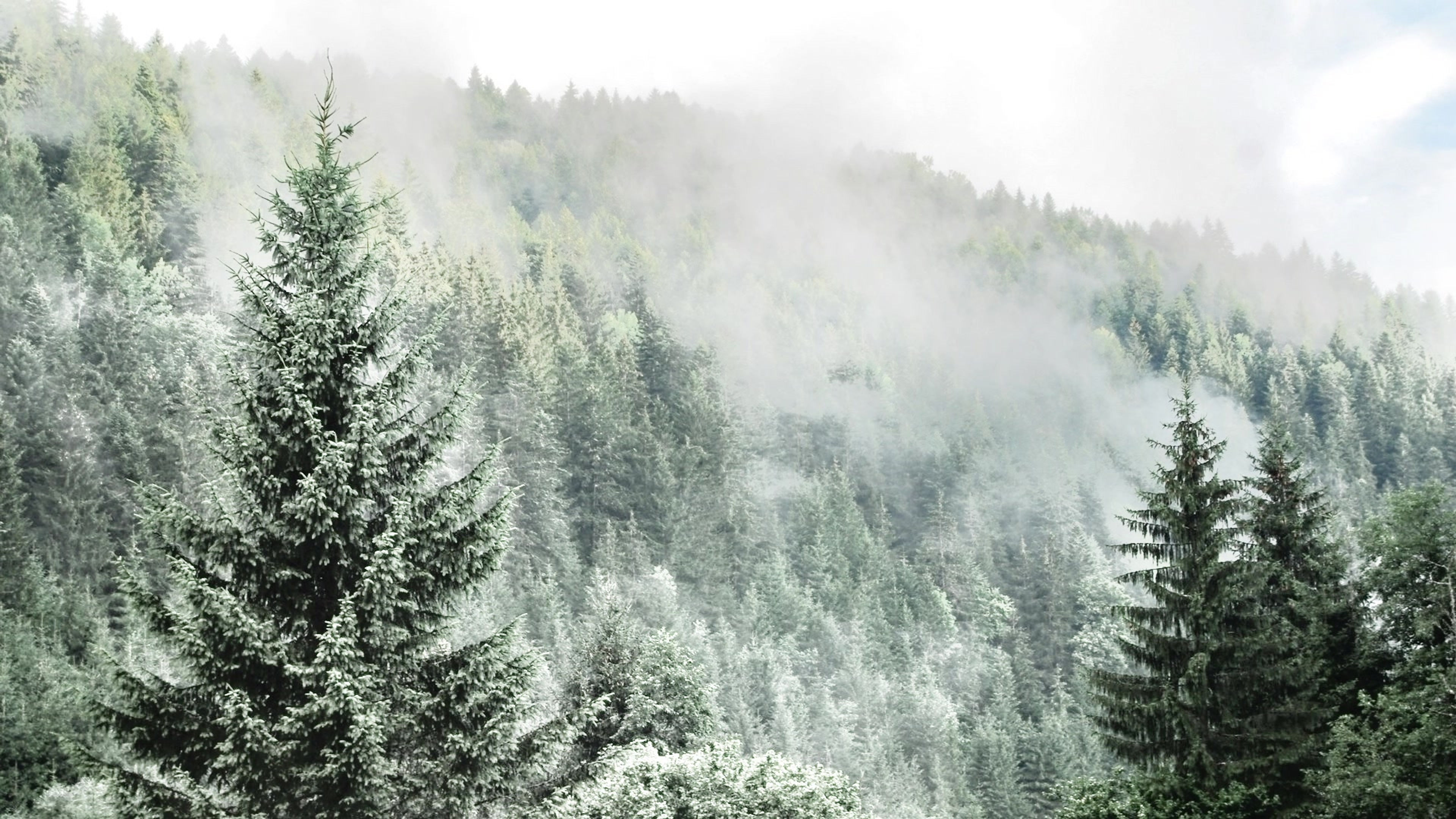 Summer to Winter Breakdown